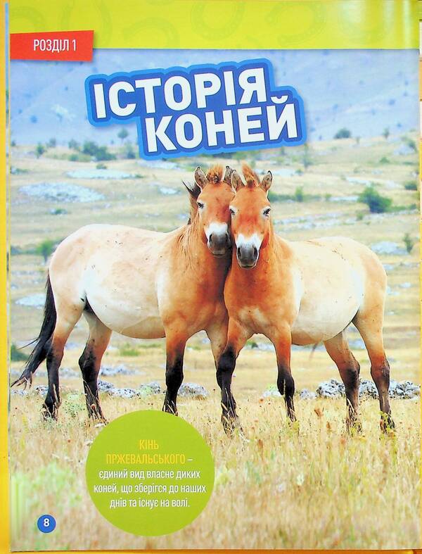 Gallop! 100 Interesting Facts About Horses / Галопом! 100 цікавих фактів про коней Kitson Yazynka / Лист Кітсона 9786171600430-6