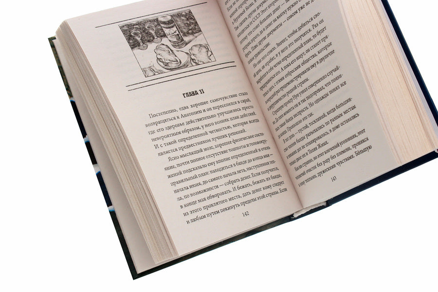 Game of sabotage / Игра в саботаж Ирина Лобусова 978-966-03-9437-7-5