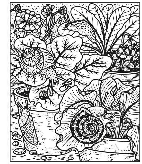 Garden Magic Painting Book Abigail Whitley / Эбигейл Уитли 9781474994767-2