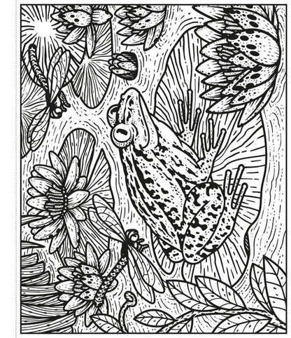 Garden Magic Painting Book Abigail Whitley / Эбигейл Уитли 9781474994767-4