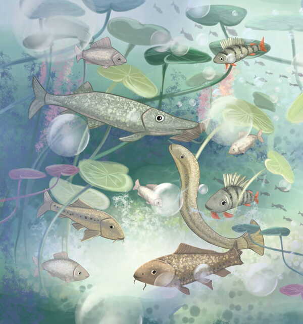 Garmider in the Dnieper / Гармидер у Дніпрі Анатолий Днистровый 978-966-10-8873-2-5