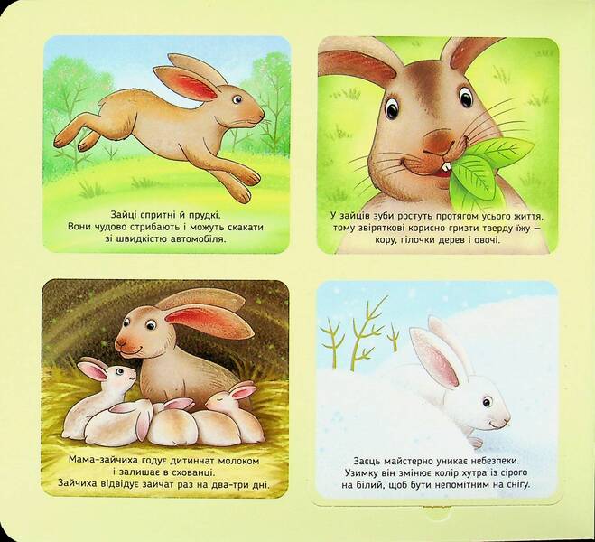 Get Acquainted And Caress. Forest Animals - Познайомся  погладь. Лсов тварини Irina Potanina - рина Потанна 9789667617813-3