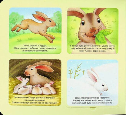 Get Acquainted And Caress. Forest Animals - Познайомся  погладь. Лсов тварини Irina Potanina - рина Потанна 9789667617813-3