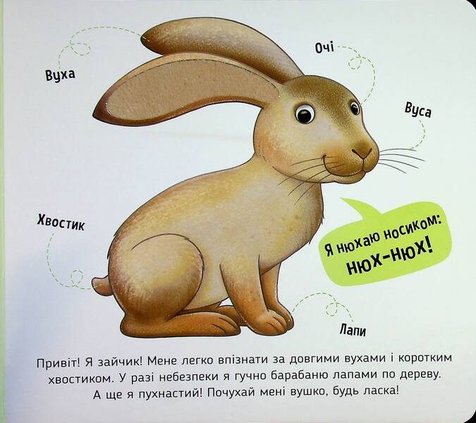 Get Acquainted And Caress. Forest Animals - Познайомся  погладь. Лсов тварини Irina Potanina - рина Потанна 9789667617813-4