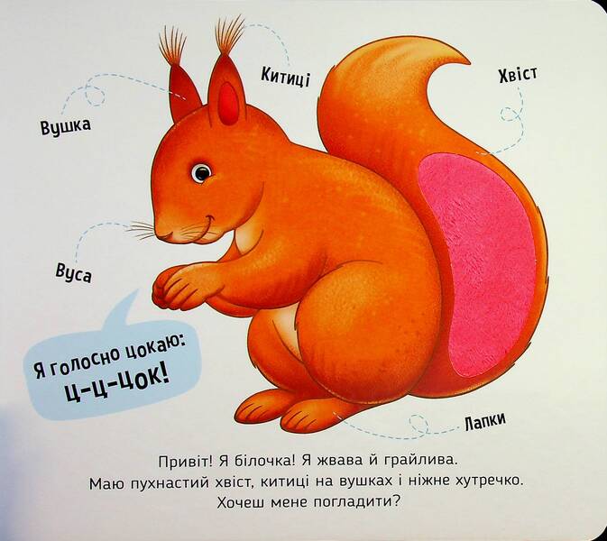 Get Acquainted And Caress. Forest Animals - Познайомся  погладь. Лсов тварини Irina Potanina - рина Потанна 9789667617813-6
