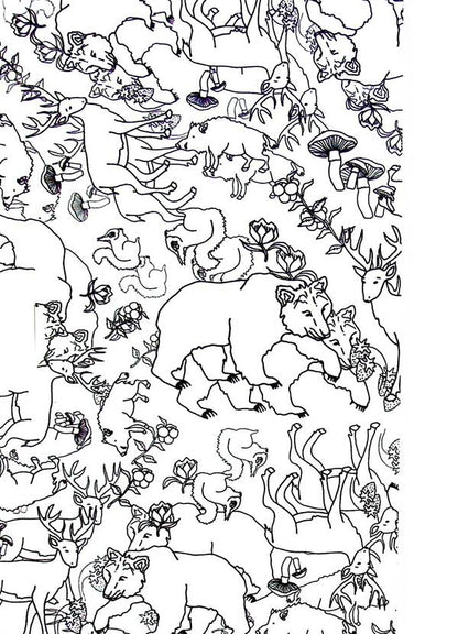 Glade wolf / Поляна вільча Светлана Козаченко 978-617-95127-1-1-3