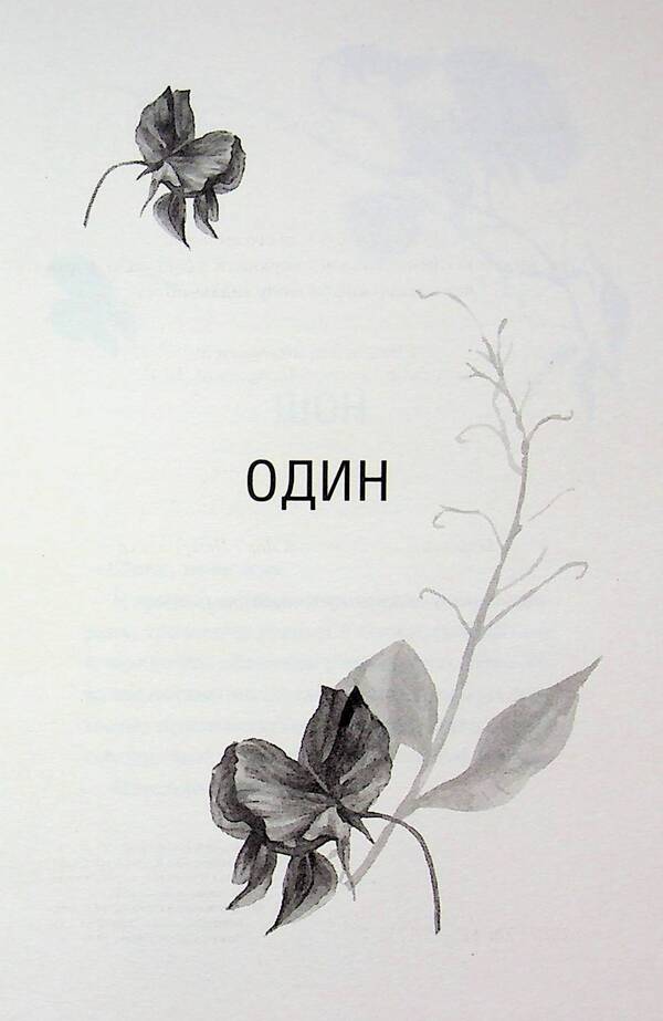 Gloria. Book 2.5 / Глорія. Книга 2.5 Сьерра Симоне 978-617-15-1738-7-3