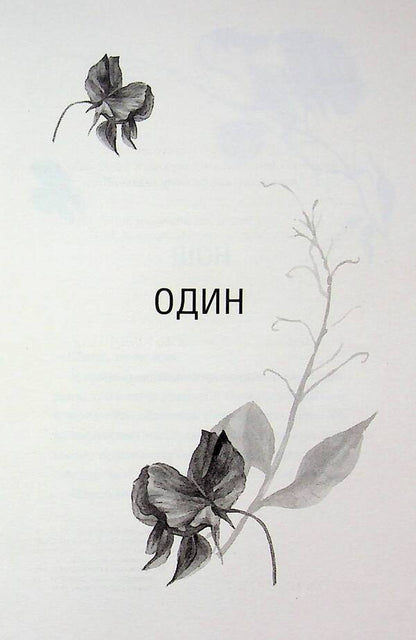 Gloria. Book 2.5 / Глорія. Книга 2.5 Сьерра Симоне 978-617-15-1738-7-3