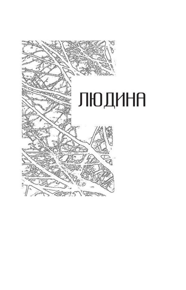 God comes in the evening. Meditations / Бог приходить увечері. Медитації Андрей Зелинский 978-966-938-507-9-3