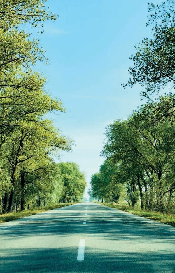 God comes in the evening. Meditations / Бог приходить увечері. Медитації Андрей Зелинский 978-966-938-507-9-5