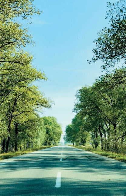 God comes in the evening. Meditations / Бог приходить увечері. Медитації Андрей Зелинский 978-966-938-507-9-5