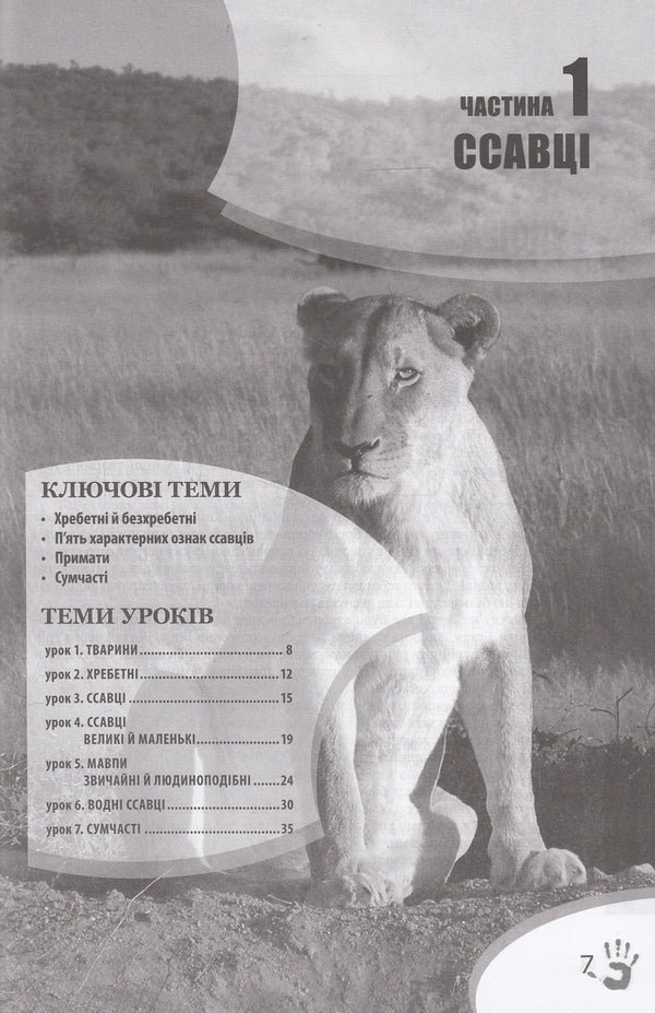 God's plan. Animal world / Божий задум. Світ тварин Дебби Лоренс, Ричард Лоренс 978-617-7248-16-2, 978-617-7248-15-5, 1-60092-160-4-4