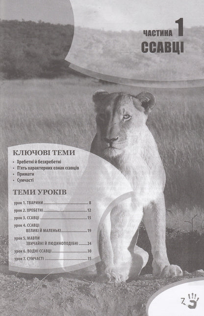 God's plan. Animal world / Божий задум. Світ тварин Дебби Лоренс, Ричард Лоренс 978-617-7248-16-2, 978-617-7248-15-5, 1-60092-160-4-4