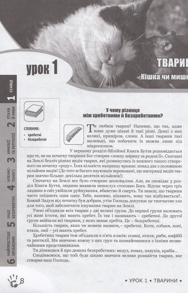 God's plan. Animal world / Божий задум. Світ тварин Дебби Лоренс, Ричард Лоренс 978-617-7248-16-2, 978-617-7248-15-5, 1-60092-160-4-5