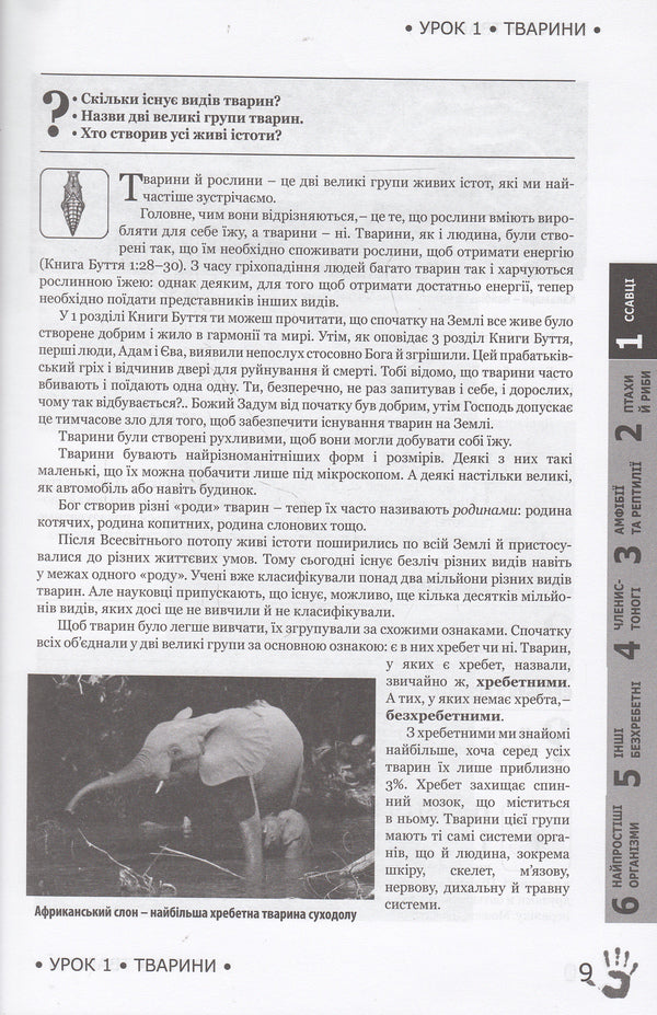 God's plan. Animal world / Божий задум. Світ тварин Дебби Лоренс, Ричард Лоренс 978-617-7248-16-2, 978-617-7248-15-5, 1-60092-160-4-6