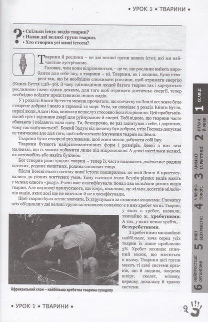 God's plan. Animal world / Божий задум. Світ тварин Дебби Лоренс, Ричард Лоренс 978-617-7248-16-2, 978-617-7248-15-5, 1-60092-160-4-6