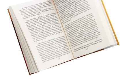 Golden Linden Castle / Замок Золотої Липи Виктор Палинский 978-617-629-512-9-5