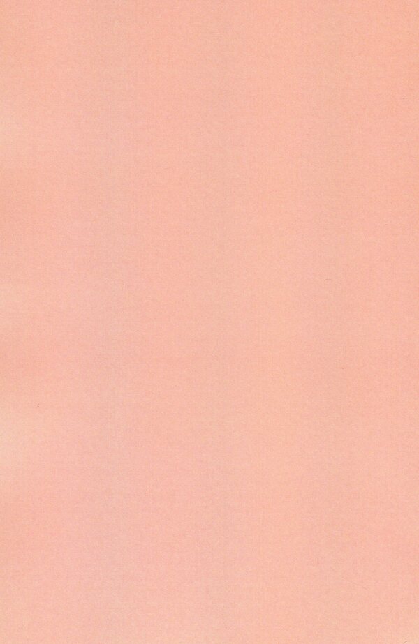 Gone with the Wind. Book 2. Parts 4–5 / Gone with the Wind. Book 2. Parts 4–5 Маргарет Митчелл 978-088-0007-18-4-2