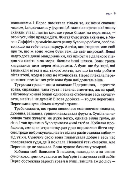 Got lost in Paris / Заблукалі в Парижі Джейн Смайли 978-966-982-880-4-5