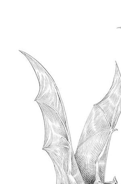 Goth Girl And The Fete Worse Than Death Chris Riddell / Крис Ридделл 9781035022663-6