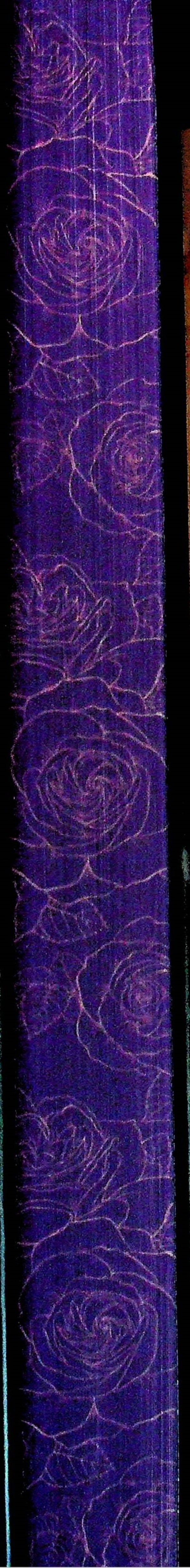 Gothic / Готикана RuNyx 978-617-15-1307-5-3