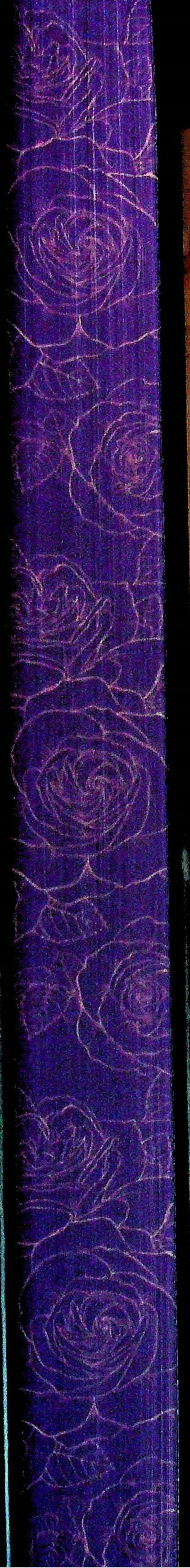Gothic / Готикана RuNyx 978-617-15-1307-5-3