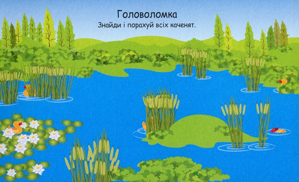 Graika Numbers 4+ / Грайки. Цифри 4+  978-617-634-191-8-4