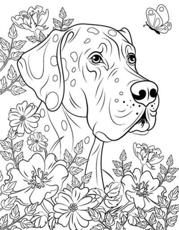 Great Book Of Coloring: Cats And Dogs (B) / Велика книга розмальовок : Коти та собаки (у) Yulia Kasparova / Джулія Каспарова 9789667617608-5