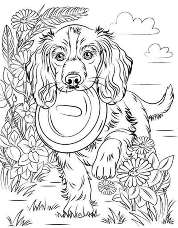 Great Book Of Coloring: Cats And Dogs (B) / Велика книга розмальовок : Коти та собаки (у) Yulia Kasparova / Джулія Каспарова 9789667617608-6