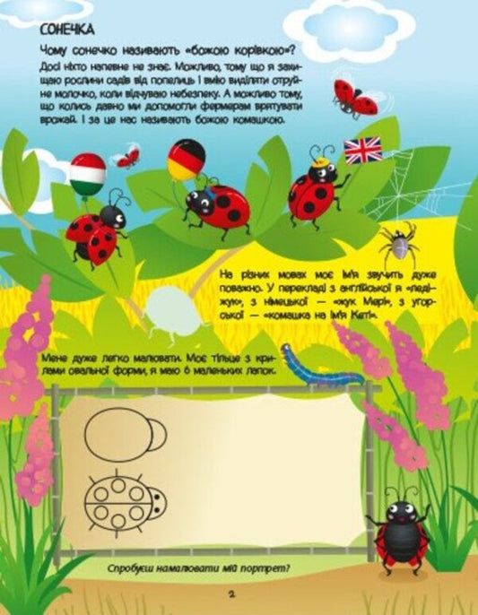 Green Book About Insects (+ Stickers, + Coloring, + MK Video) / Зелена книжка про комашок (+ наліпки, + розфарбовки, + відео МК) Natalia Koval / Наталія Коваль 9786170975911-2