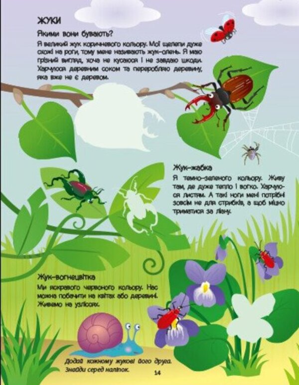 Green Book About Insects (+ Stickers, + Coloring, + MK Video) / Зелена книжка про комашок (+ наліпки, + розфарбовки, + відео МК) Natalia Koval / Наталія Коваль 9786170975911-6