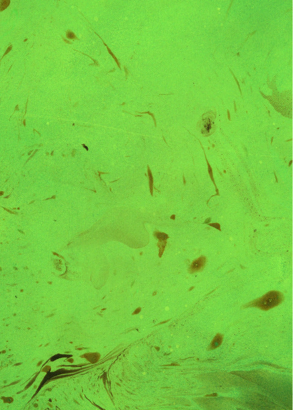 Green Witchcraft. How To Discover The Magic Of Flowers, Herbs, Trees, Crystals, Etc. / Зелене чаклунство. Як відкрити для себе магію квітів, трав, дерев, кристалів тощо Page Vanderbeck / Пейдж Вандербек 9786171709683-4