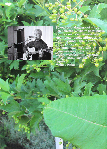Green viburnum berries. Book two / Зелені ягоди калини. Книга друга Владимир Мацуцкий 978-617-7621-30-9-2