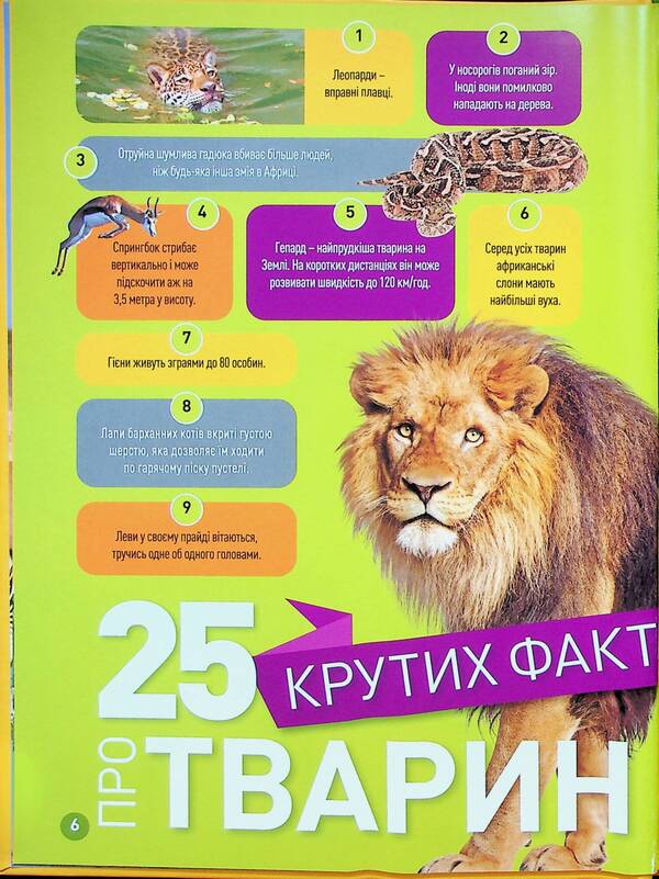 Grrr! 100 Interesting Facts About African Animals / Гррр! 100 цікавих фактів про тварин Африки Stephanie Warren Drimmer / Стефані Воррен Дріммер 9786171600454-4