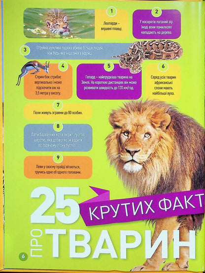 Grrr! 100 Interesting Facts About African Animals / Гррр! 100 цікавих фактів про тварин Африки Stephanie Warren Drimmer / Стефані Воррен Дріммер 9786171600454-4