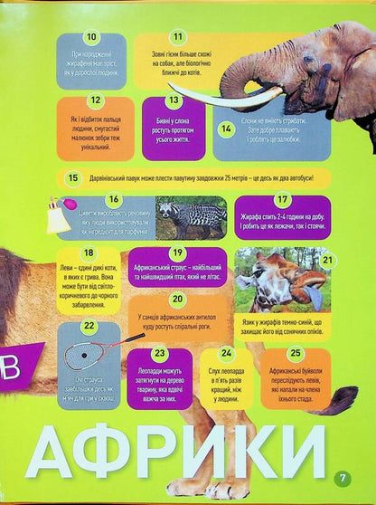 Grrr! 100 Interesting Facts About African Animals / Гррр! 100 цікавих фактів про тварин Африки Stephanie Warren Drimmer / Стефані Воррен Дріммер 9786171600454-5