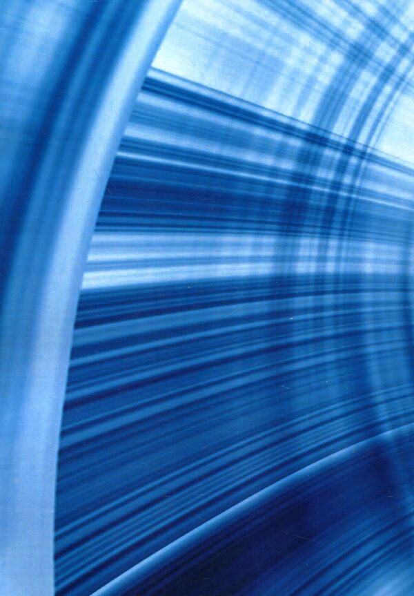 Guest. Poetry / Гість. Поезії Василий Онуфриенко 9786110122122-2