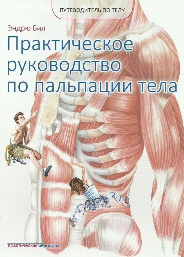 Guide To The Body A Practical Guide To Body Palpation - Путеводитель по телу Практическое руководство по пальпации тела Andrew Beale - Эндрю Бил Does not apply-1
