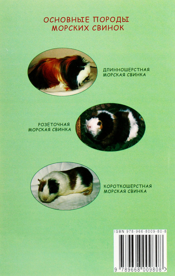 Guinea pigs. Practical advice on care and psychology / Морские свинки. Практические советы по уходу и психологии Сергей Климовский 978-966-8009-80-8-2