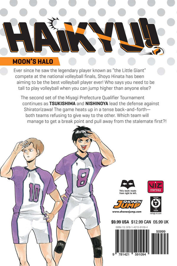 Haikyu!! Volume 19 Haruichi Furudate / Харуити Фурудатэ 9781421591094-2