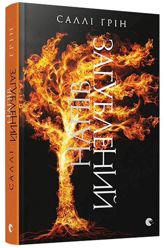 Half lost / Напівзагублений Салли Грин 978-617-679-276-5, 978-0-141-36484-1-1