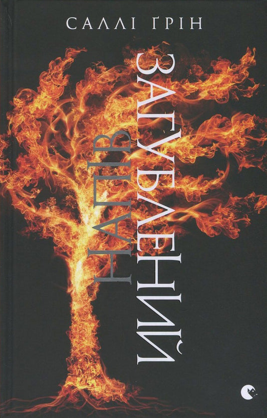 Half lost / Напівзагублений Салли Грин 978-617-679-276-5, 978-0-141-36484-1-2