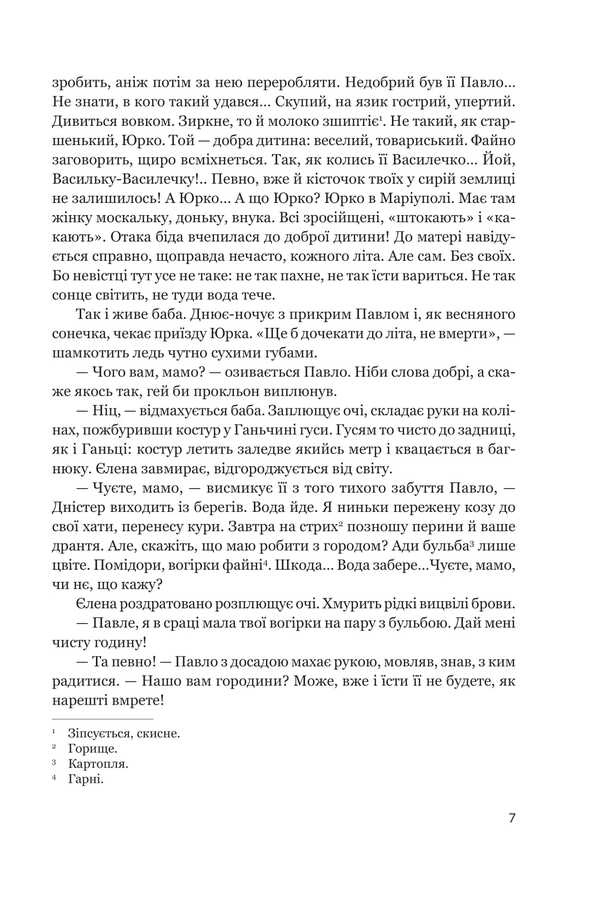 Harlot / Лярва Marian Stefak / Маріана Стефак 9789661092791-4