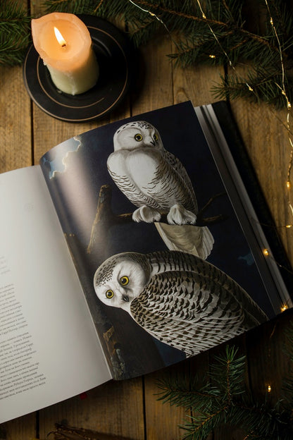 Harry Potter.History Of Magic / Гаррі Поттер. Історія магії Joan Rowling / Джоан Роулінг 9786175851685-6