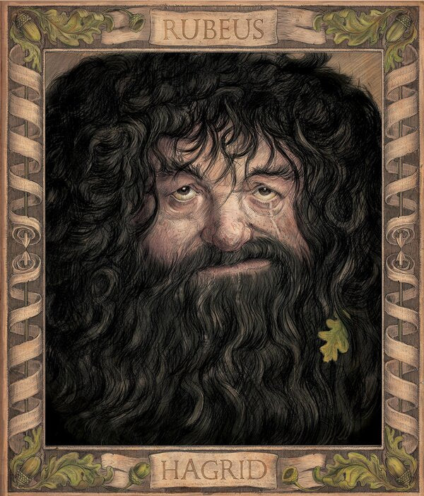 Harry Potter And The Chamber Of Secrets Illustrated Edition Joan Rowling - Джоан Роулинг 9781408845653-3