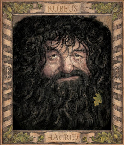 Harry Potter And The Chamber Of Secrets Illustrated Edition Joan Rowling - Джоан Роулинг 9781408845653-3
