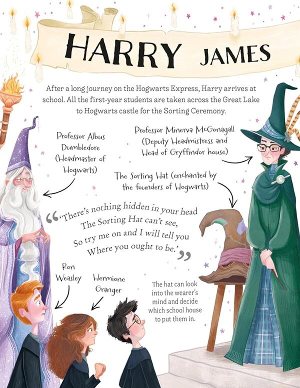 Harry Potter Joan Rowling / Джоан Роулинг 9781526672605-5