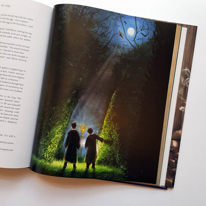 Harry Potter and the Goblet of Fire. Illustrated edition / Гаррі Поттер і Келих Вогню. Ілюстроване видання Джоан Роулинг -5