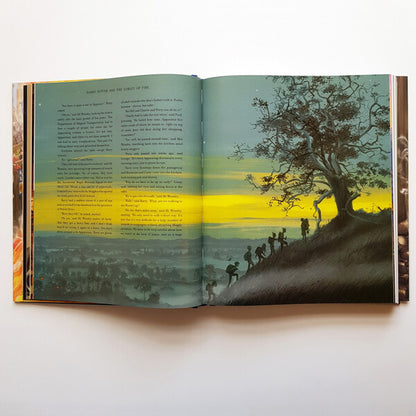 Harry Potter and the Goblet of Fire. Illustrated edition / Гаррі Поттер і Келих Вогню. Ілюстроване видання Джоан Роулинг -6