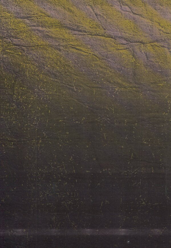 Harvest of Sorrow: Soviet Collectivization and the Holodomor / Жнива скорботи: Радянська колективізація і голодомор Роберт Конквест 978-611-01-1283-3-2